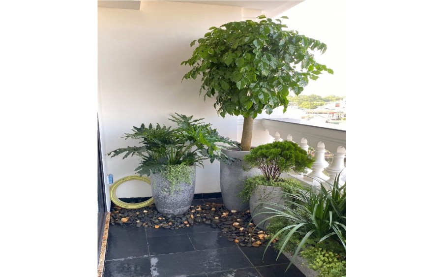 NHÀ ĐẸP VĨNH HƯNG – BÁN LUÔN - Ô tô Tránh. 39m 5T Chỉ 4.76 tỷ SĐCC bao sang tên